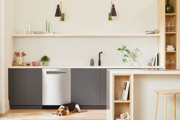 Dog sleeping in front of running dishwasher